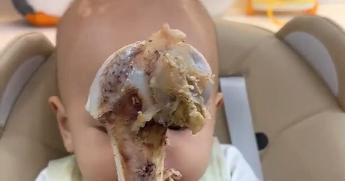 United States. "Carnivore Babies": What's This Trend That's Worrying Health Professionals?