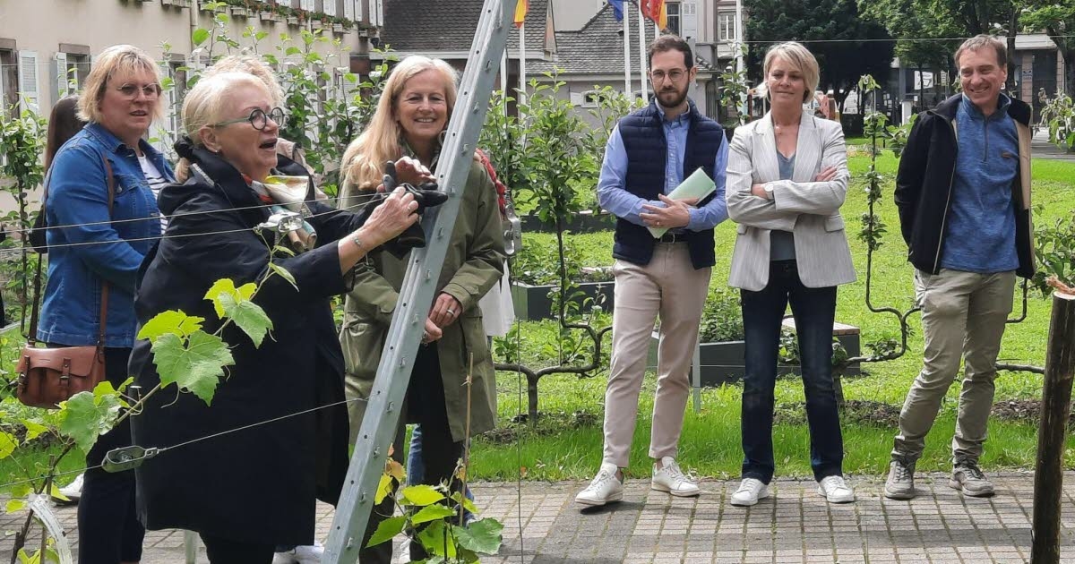 Desenvolvimento. O jardim da prefeitura de Mulhouse passa por uma reforma