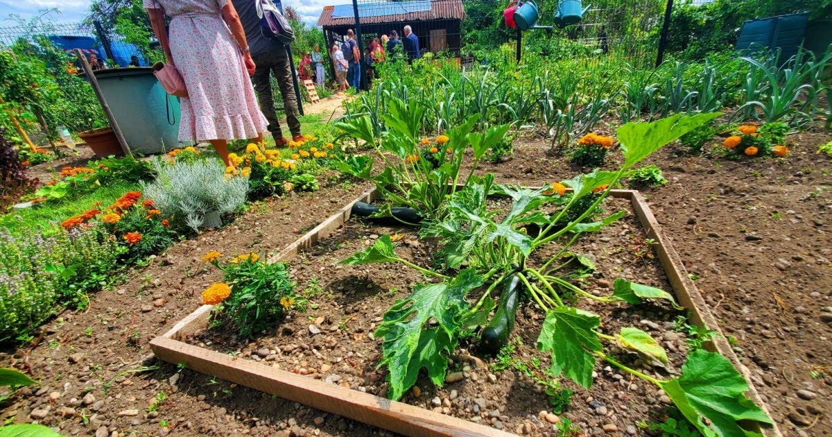 Colmar: A shared garden for women in cancer remission