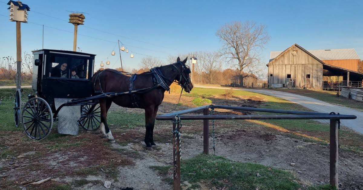 Incomum. Um osteopata de Mulhouse viaja para os Estados Unidos e atua na região Amish.