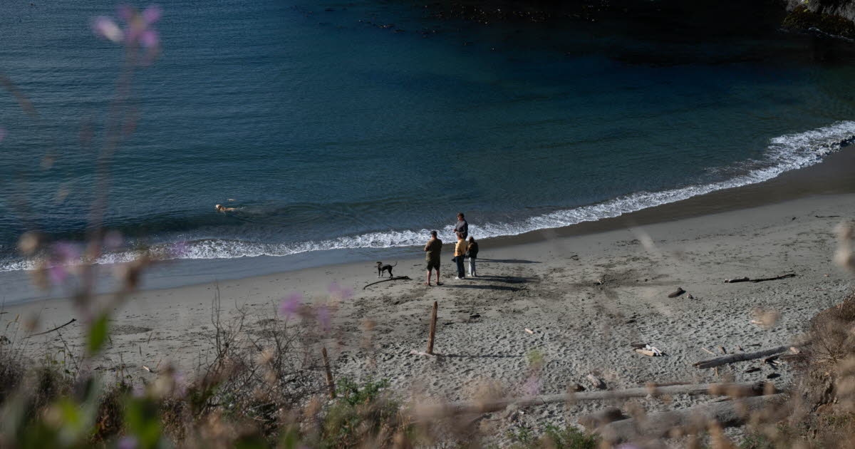 Society. Disconnecting on vacation: “The dictatorship of profitability is monstrous”