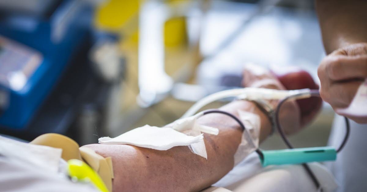 Health. Blood donation: data mentioning homosexual relationships will soon be removed