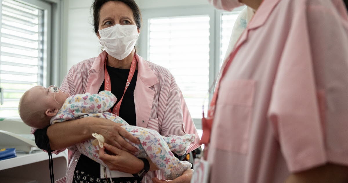 Mulhouse. The Ladies in Pink and their "cocoon arms" at the bedside of hospitalized children