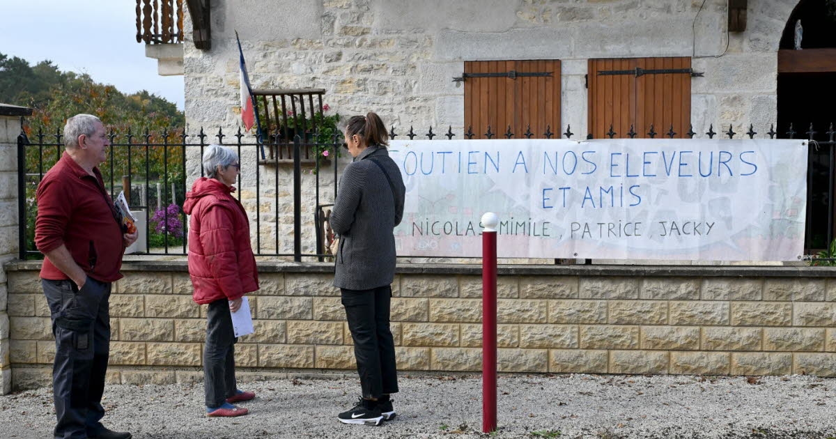 Jura. 184 runderen geslacht in Écleux: “Het is de ziel van het dorp die verdwenen is”