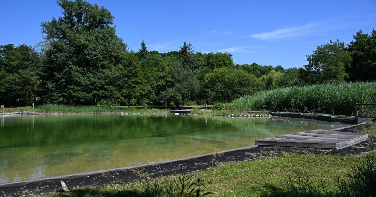 La Chapelle-Saint-Sauveur. Das Naturschwimmbad öffnet diesen Samstag wieder