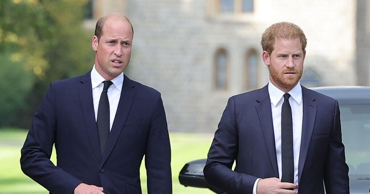 Prins William moet Harry 'uit de kou halen' om te voorkomen dat de Sussexes 'wraak nemen'