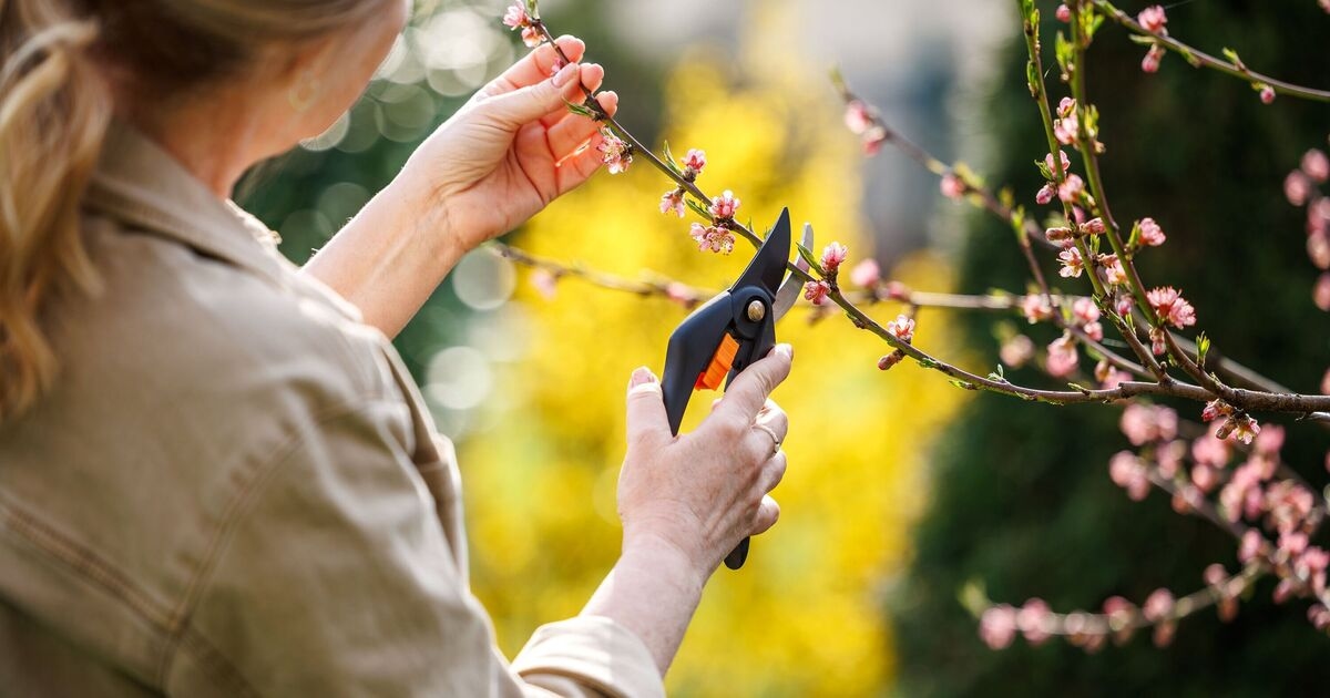 Badania ujawniają, że kobiety po 40. roku życia radzą sobie z menopauzą, podejmując nowe hobby, od ogrodnictwa po taniec