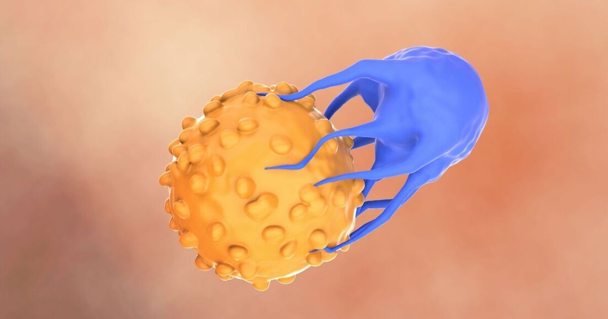 Una terapia innovadora contra el cáncer aumenta la supervivencia en un 40% en un estudio histórico