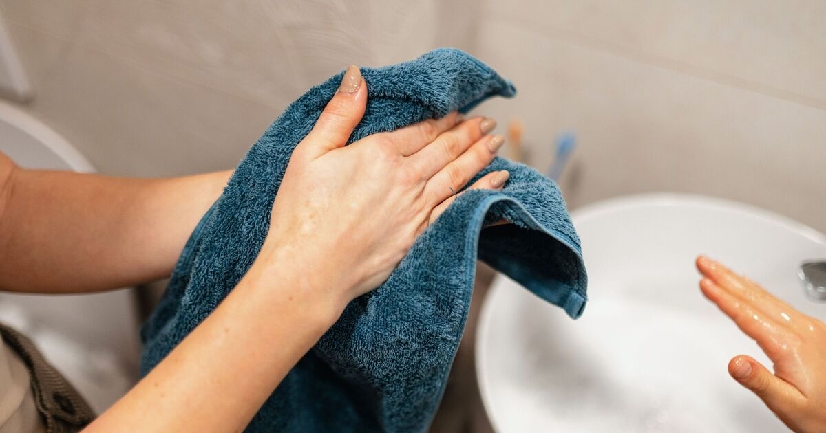 Biologist warns people to stop using public hand dryers