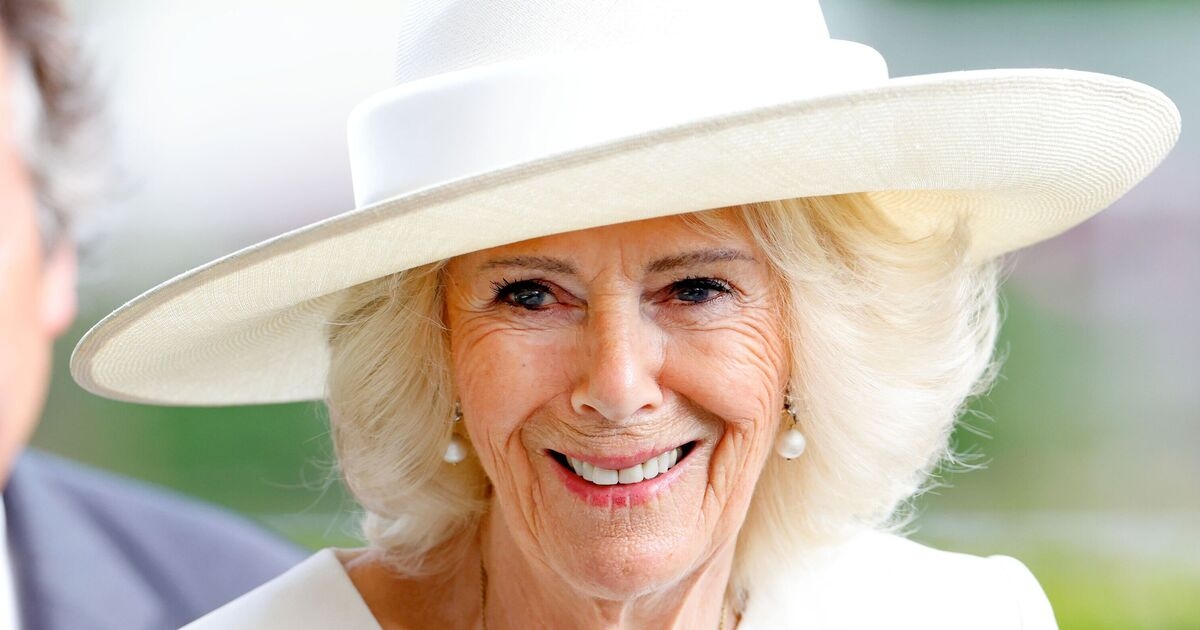 What is acute sinusitis? Symptoms explained as Queen Camilla pulls out of major event
