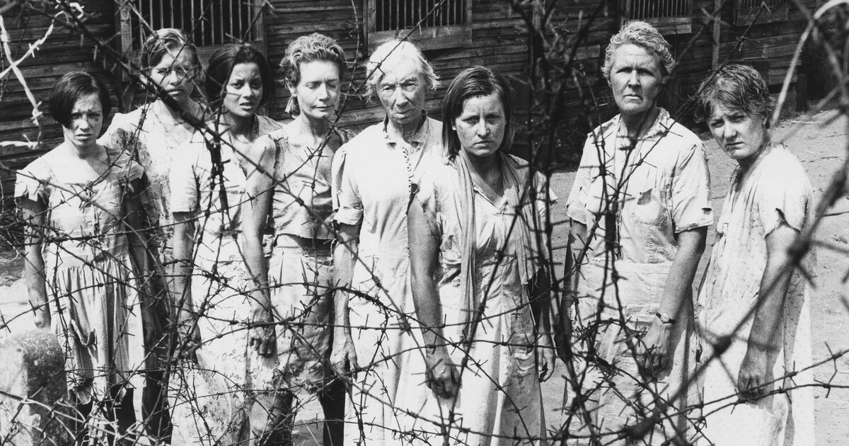 Ein meisterhaftes Kriegsdrama, von dem Sie wahrscheinlich noch nie gehört haben und das Sie kostenlos ansehen können.