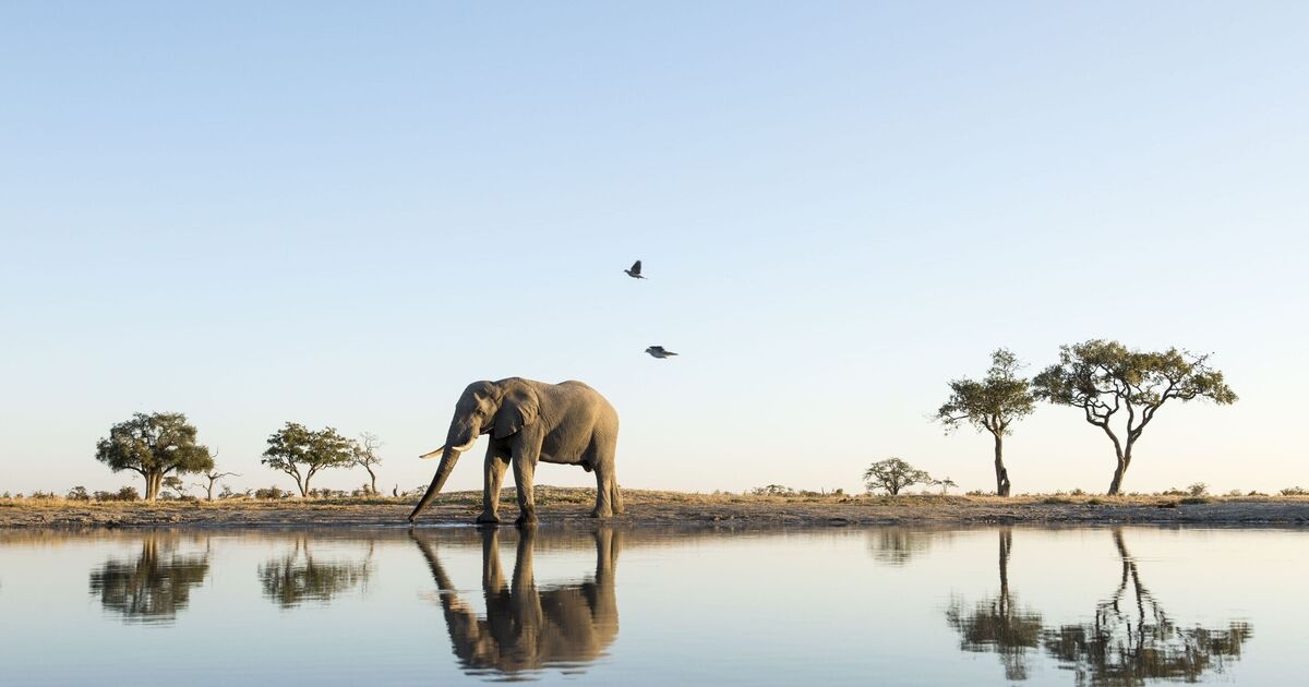 The beautiful country in Africa that’s the ‘cheapest’ to visit in May with £2 pints