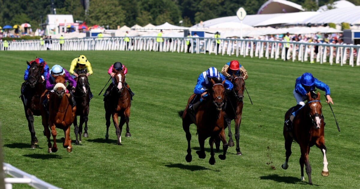 Royal Ascot results LIVE: Tips and racecards on Ladies' Day with Gold Cup coming up