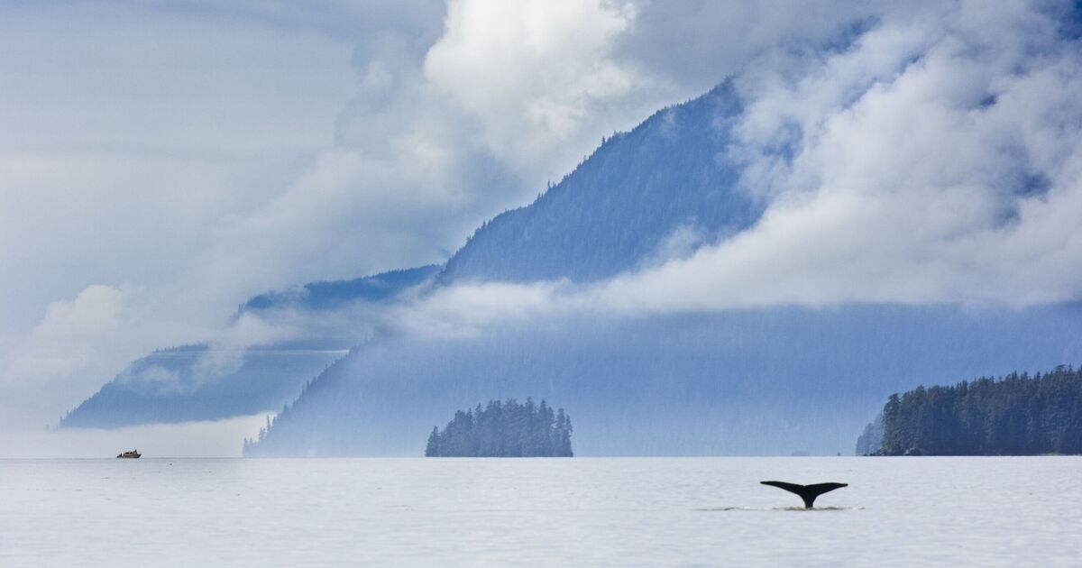 Alaska tsunami LIVE: Huge warning issued after 7.2 magnitude earthquake off US coast