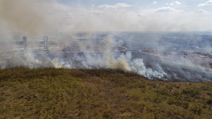 L'Amazonie brésilienne a enregistré en 2024 la plus grande superficie brûlée au cours des quarante dernières années.