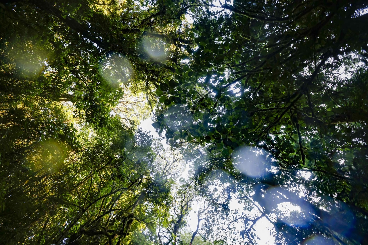 Konferencja poświęcona zrównoważonej turystyce wzywa do zajęcia się kwestią zmian klimatycznych i gentryfikacji