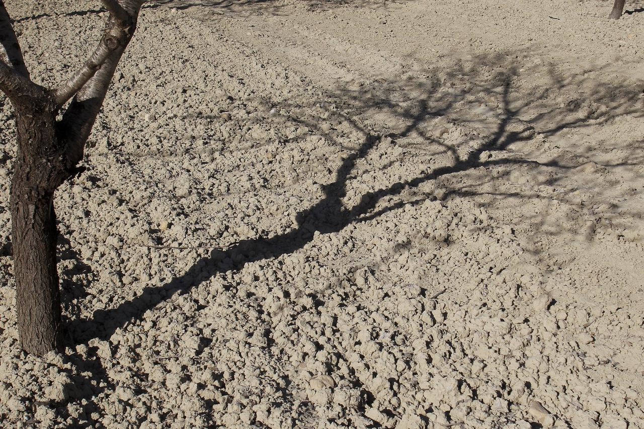 Sobreexplotación del agua y cambio climático impulsan la desertificación en España