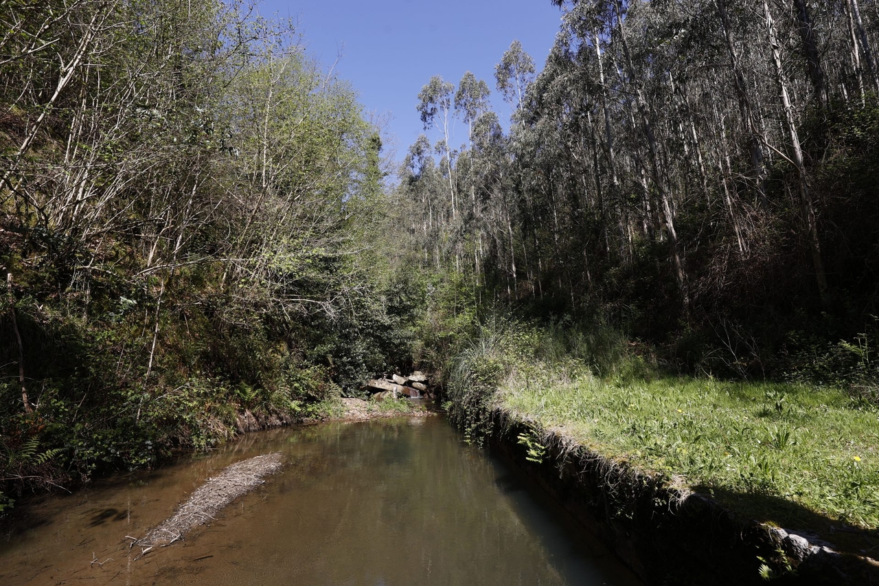 The Urdaibai 'laboratory' gathers lessons learned in light of new European water mandates