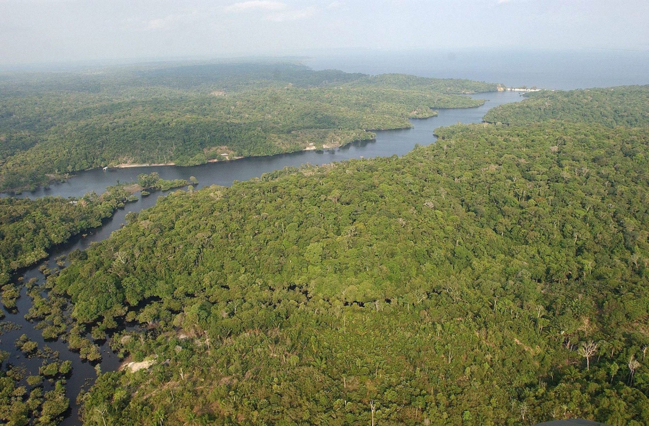 Brazylijska Amazonia osiągnęła limit klimatyczny Porozumienia paryskiego w 2024 r.