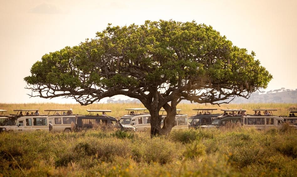 La Tanzanie a instauré une taxe sur les touristes débarquant des avions. Voici le montant qu'ils doivent payer.