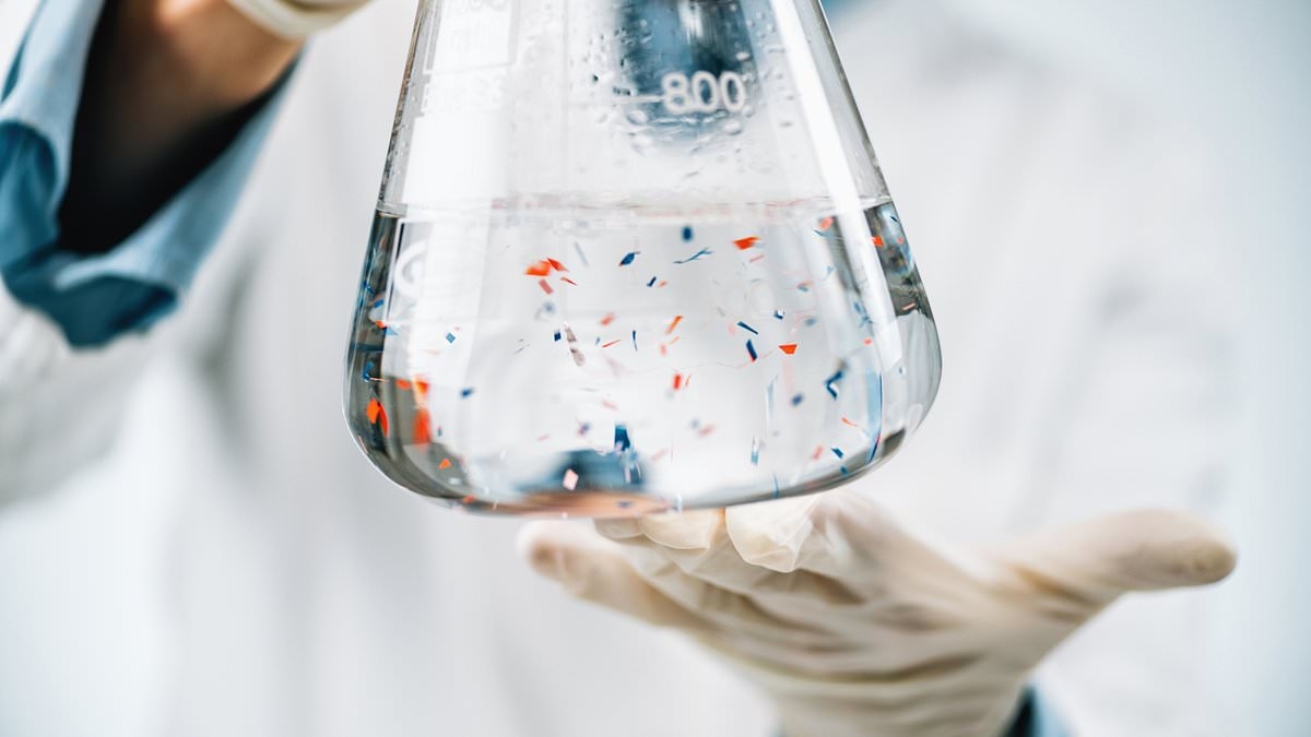 The expert's guide to what microplastics do to your body - and 22 ways to minimise your risk