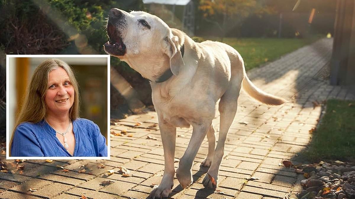 My neighbours complain about my dog barking - could they report me?