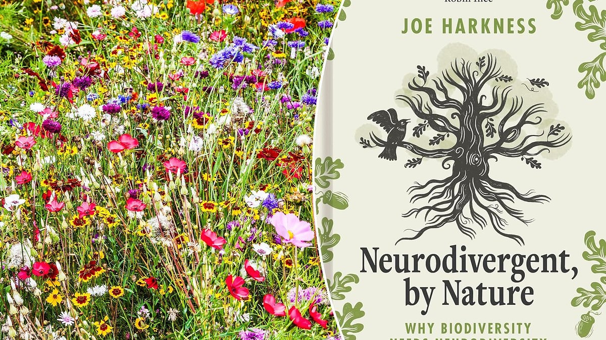 Neurodivergente, por naturaleza, de Joe Harkness: Por qué las personas con autismo están en armonía con la naturaleza