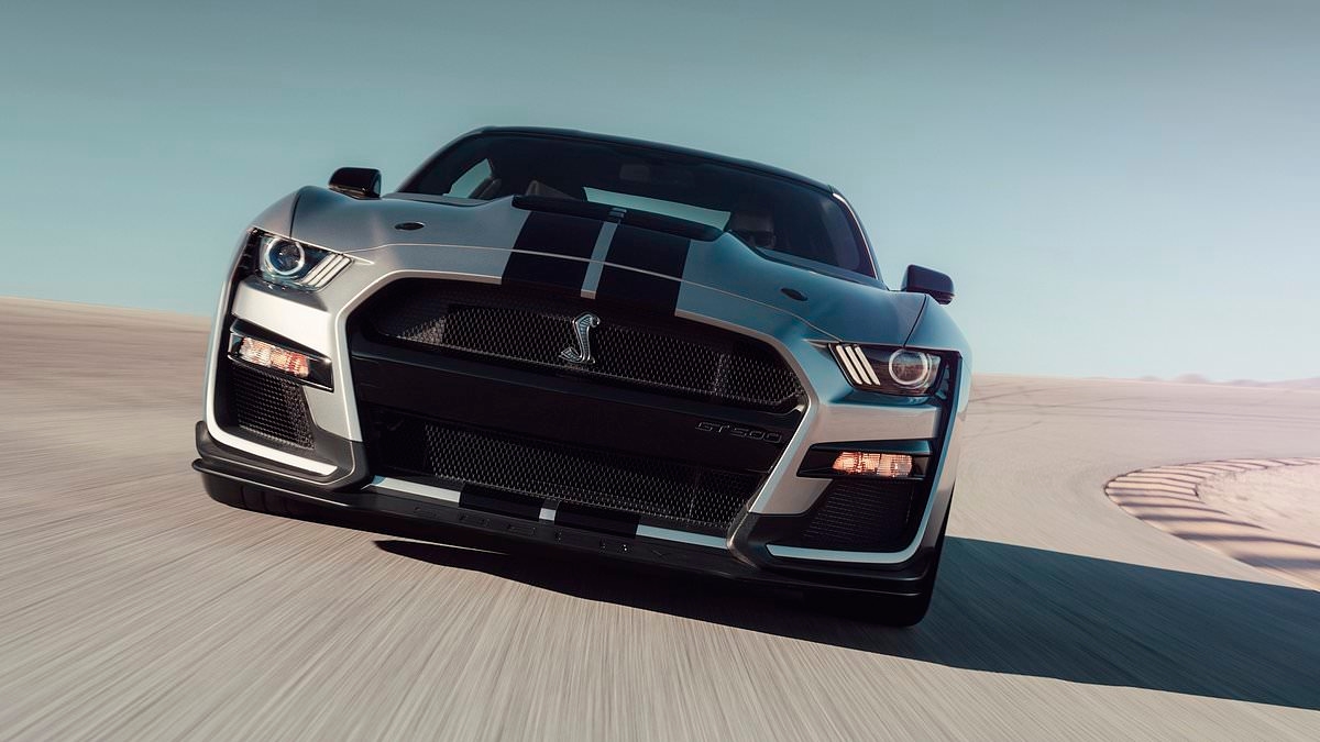 Cars that AREN'T going electric: The high-performance models pledging to keep petrol power alive