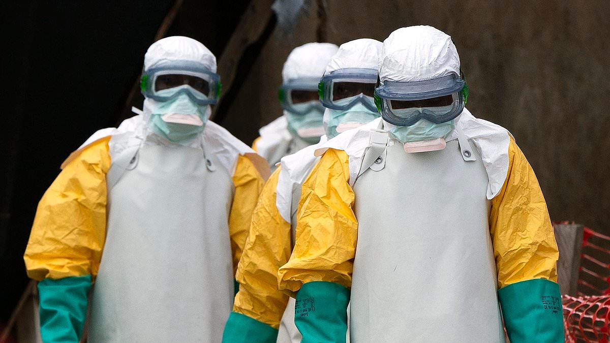 Pandemic fears intensify as multiple towns are locked down in attempt to stop Ebola spreading