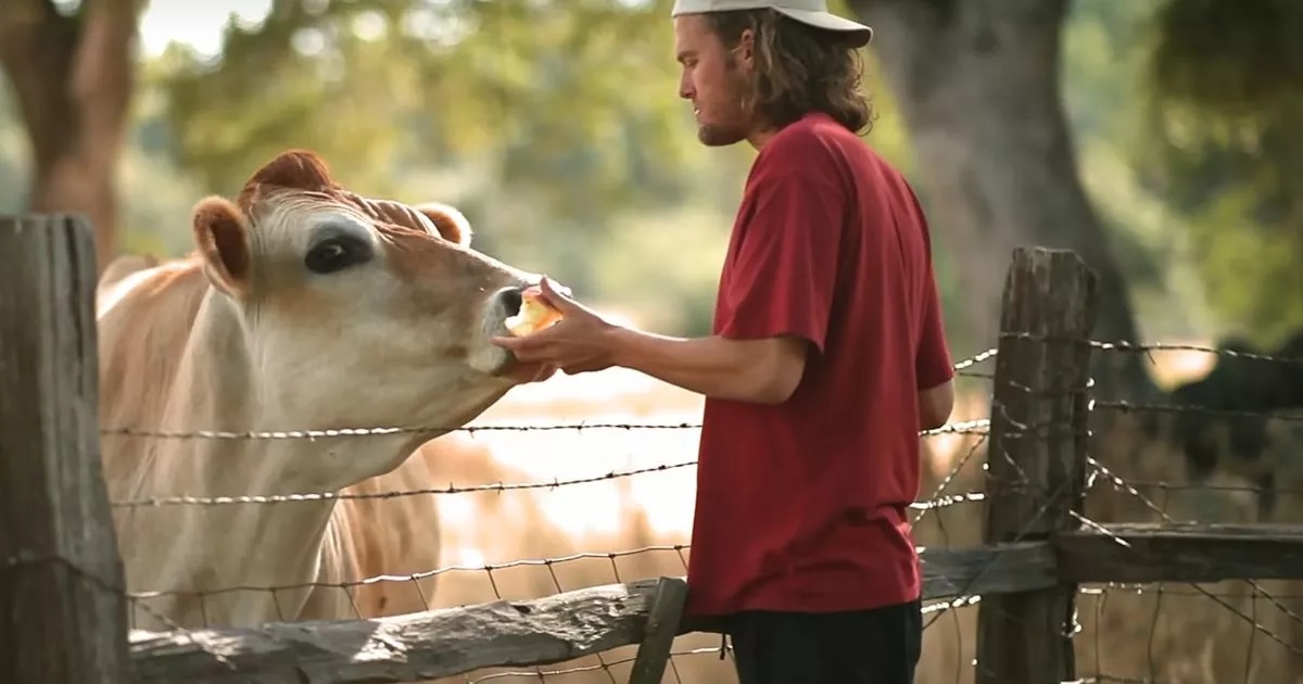 ‘I made Netflix documentary which turned people vegan - you won't believe what I saw making it'