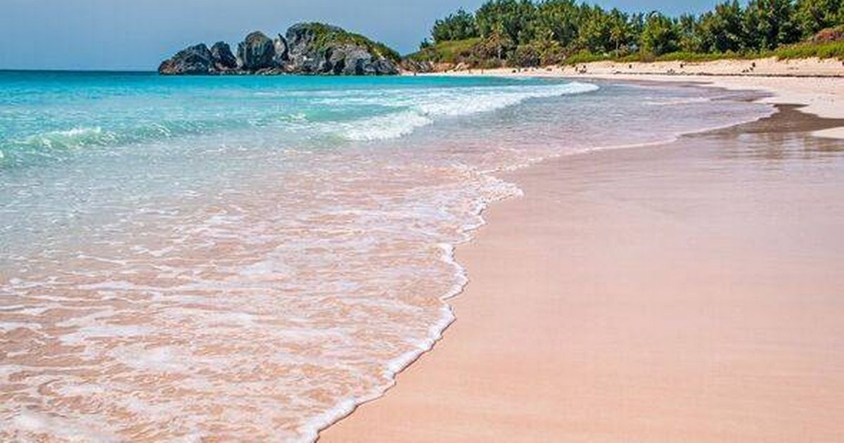 Piękna „brytyjska wyspa” z różowymi plażami i mnóstwem wraków statków
