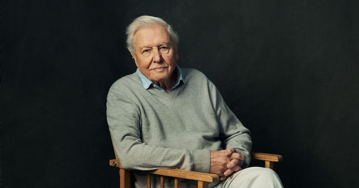 El nuevo programa de David Attenborough en la BBC es "la serie sobre naturaleza más ambiciosa jamás realizada".
