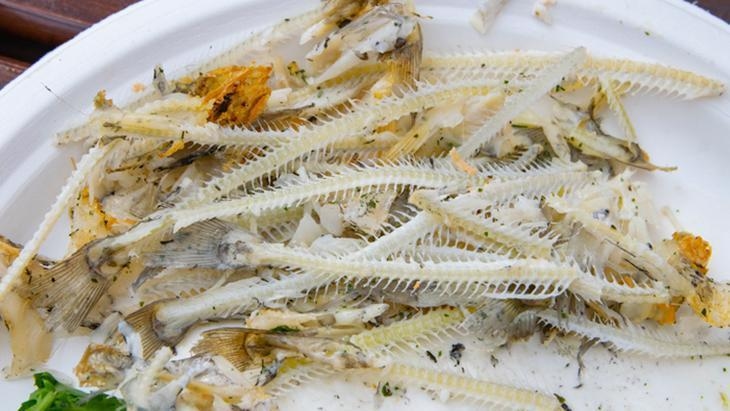 W jaki sposób ości ryb przekształcają się w wysokiej jakości kolagen?