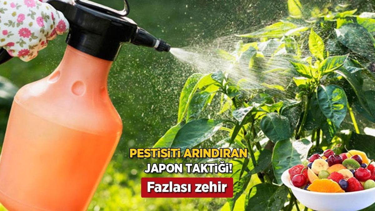 ¡Táctica japonesa para destruir pesticidas en frutas y verduras! 2 ingredientes en casa son suficientes