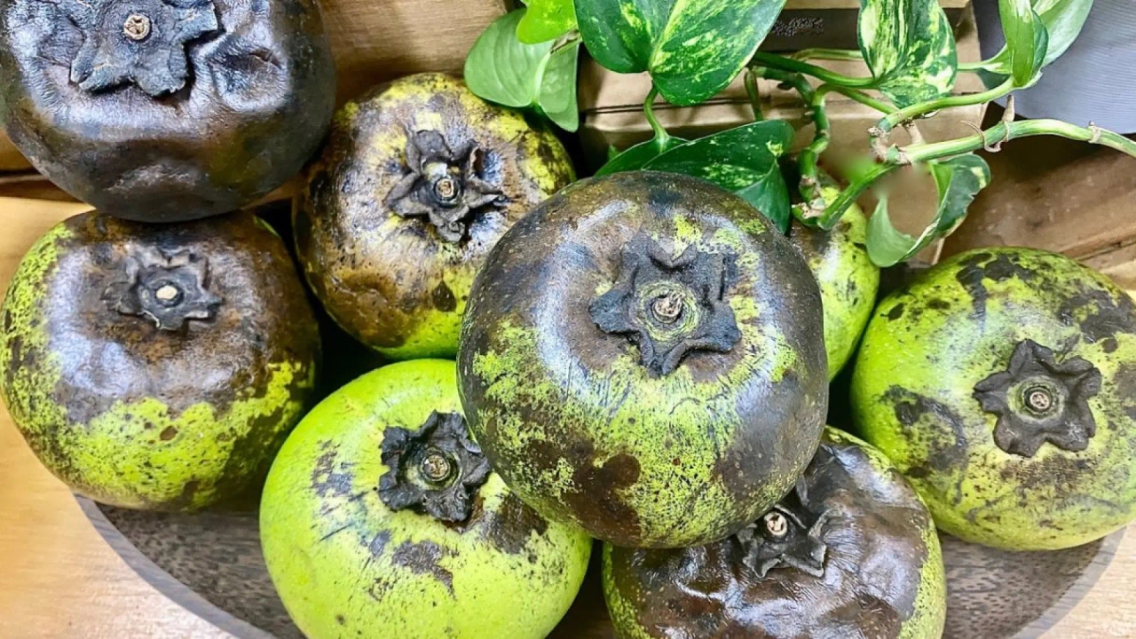 Schwarzes Gold: Die in Spanien wenig bekannte tropische Frucht, die Energie liefert und die Eisenaufnahme verbessert.