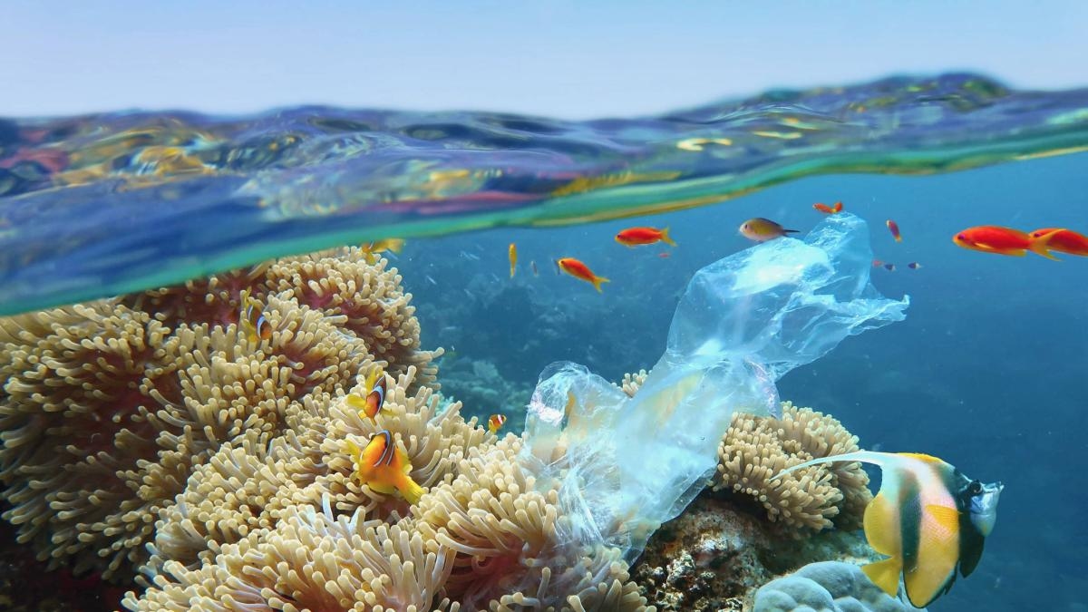 Opinion: From Nice comes the call to protect our oceans