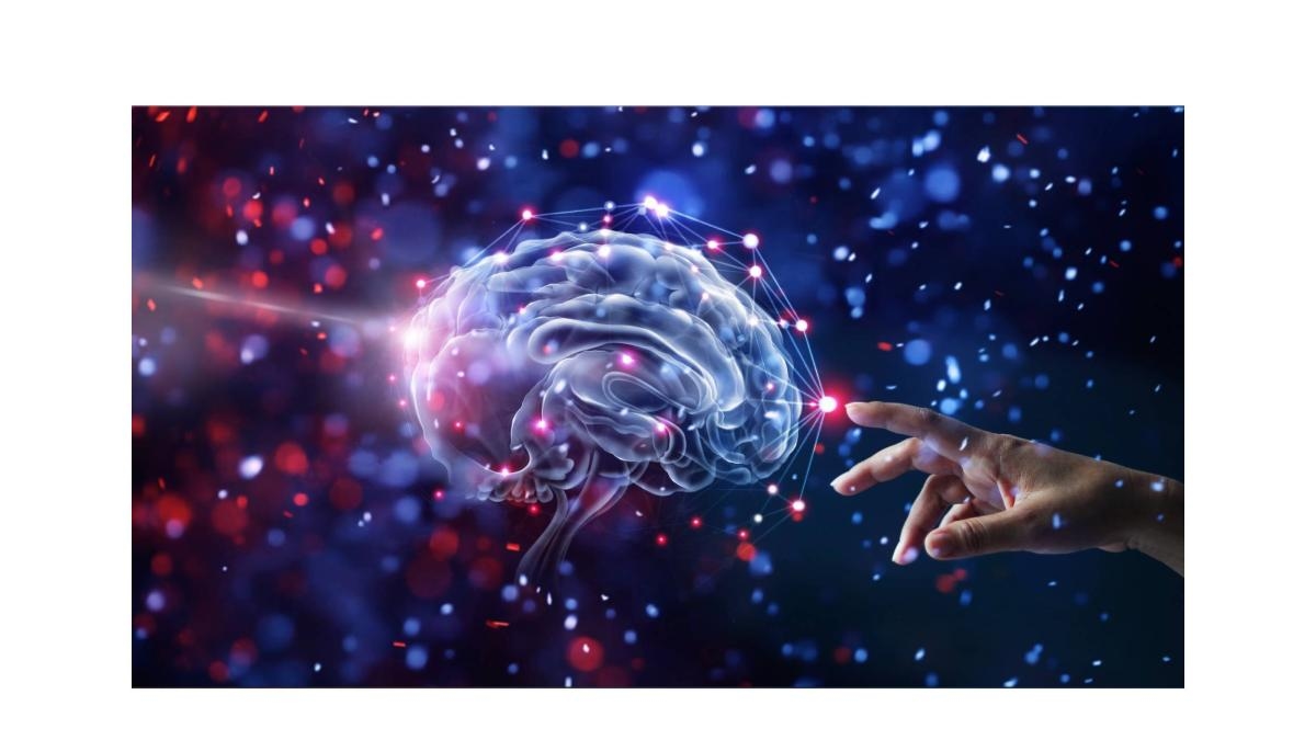 Opinião | 'Na construção coletiva de uma recomendação bioética para a neurotecnologia'