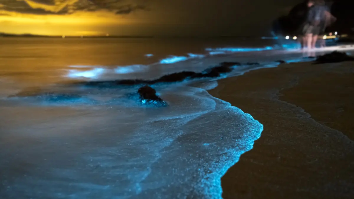Anche il corpo umano si illumina al buio: è la bioluminescenza che abbiamo