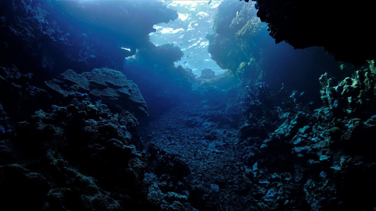 El océano: más allá de ser el ‘sumidero de carbono’ del planeta