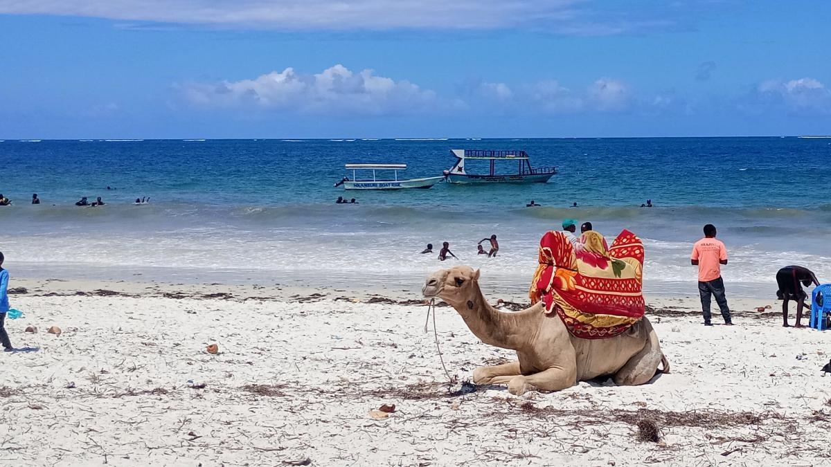 Costa Suajili de Kenia, playas y ciudades perdidas: ¿Qué visitar en este destino africano?