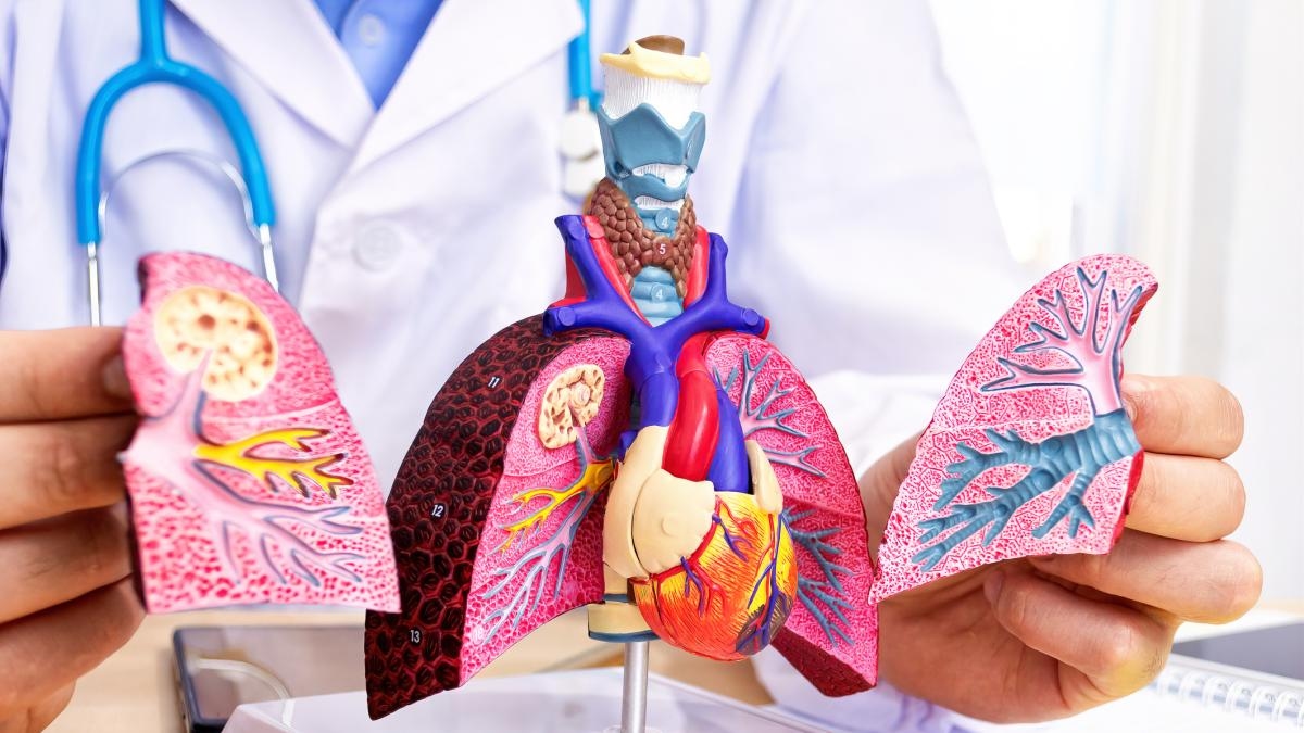 111 gevallen van tuberculose gemeld in de Modelo-gevangenis in Bucaramanga: hoe wordt dit onder controle gehouden?