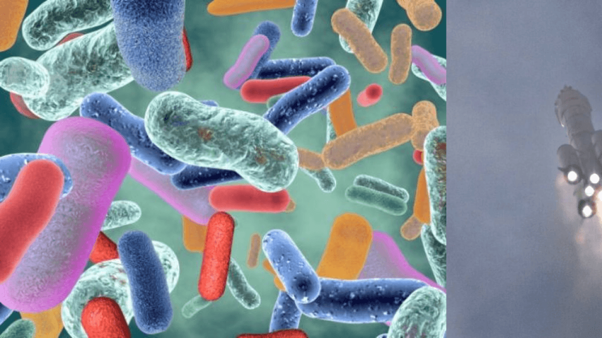 Descubren en la estación espacial china una bacteria desconocida que sobrevive a condiciones extremas y tiene características ‘únicas’