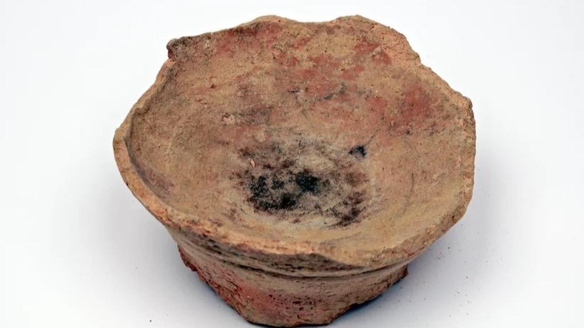 Die älteste Verwendung psychoaktiver Pflanzen entdeckt: Die ersten Araber verwendeten sie vor 2.700 Jahren