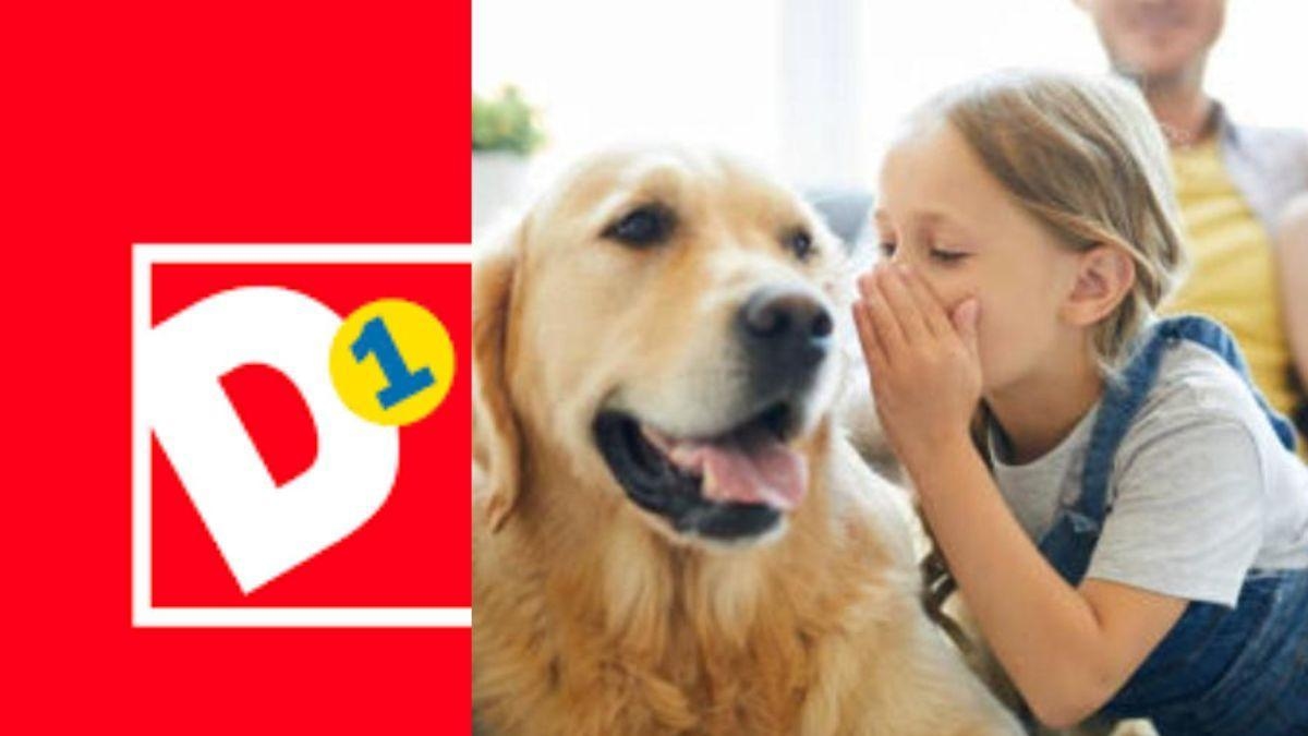 The hairiest season of D1 is here! Everything for your pets at low prices.