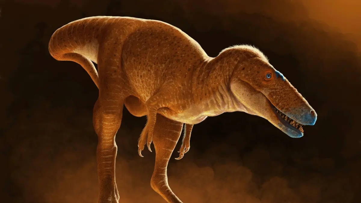 'Khankhuuluu', the 'prince of dragons' who is the closest known ancestor of tyrannosaurs