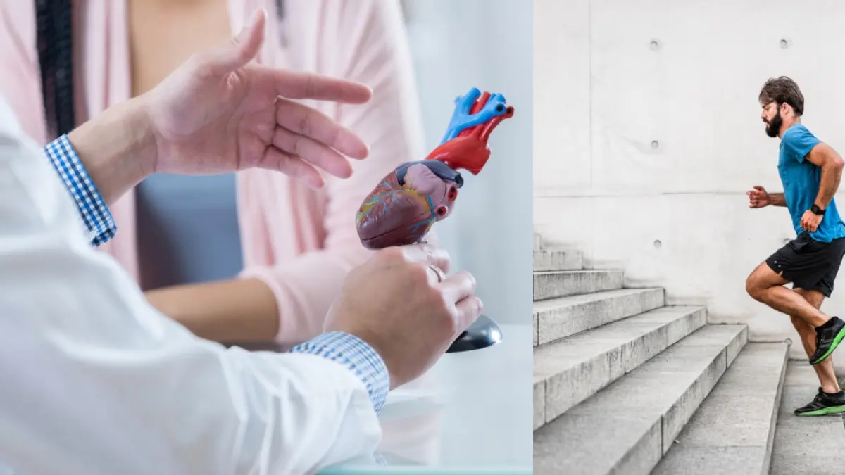 Secondo nuovi studi, salire almeno 50 gradini al giorno riduce il rischio di eventi cardiovascolari e migliora le funzioni cerebrali.