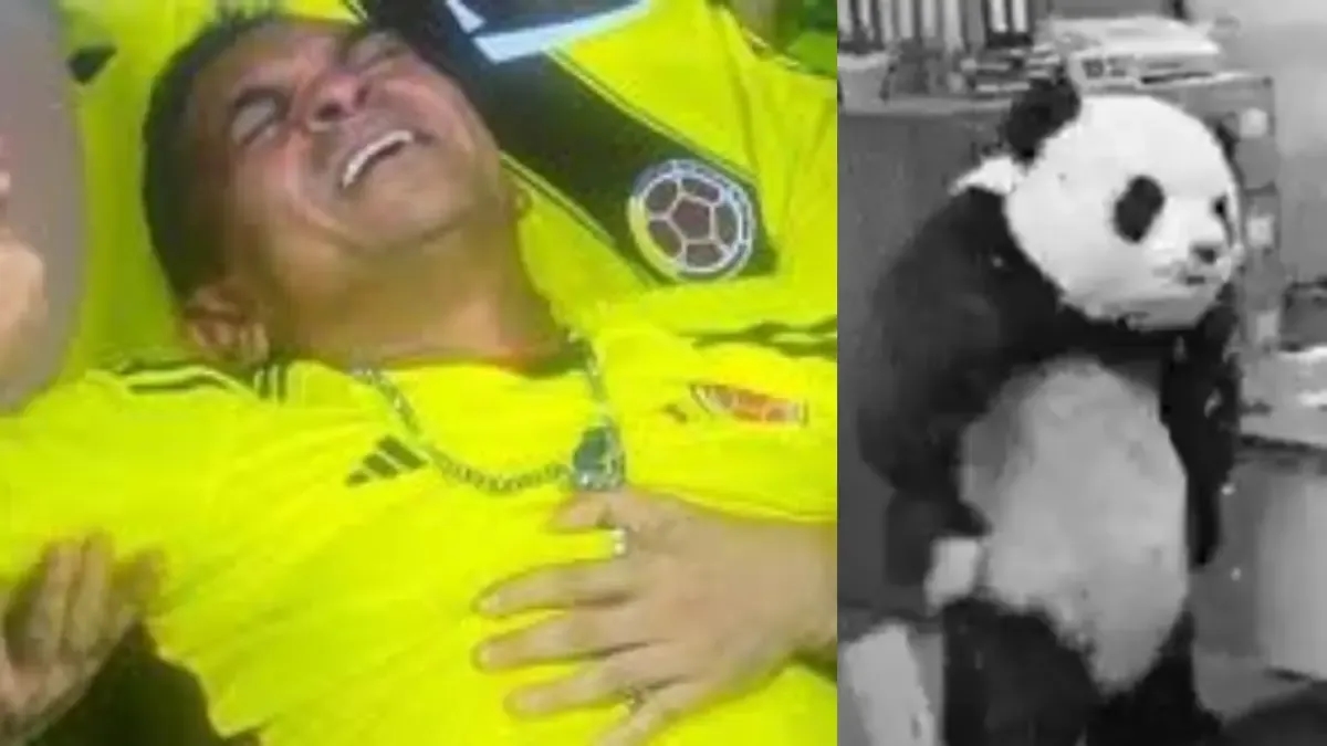 Final de la Copa América Femenina 2025: los mejores memes del partido entre Colombia y Brasil
