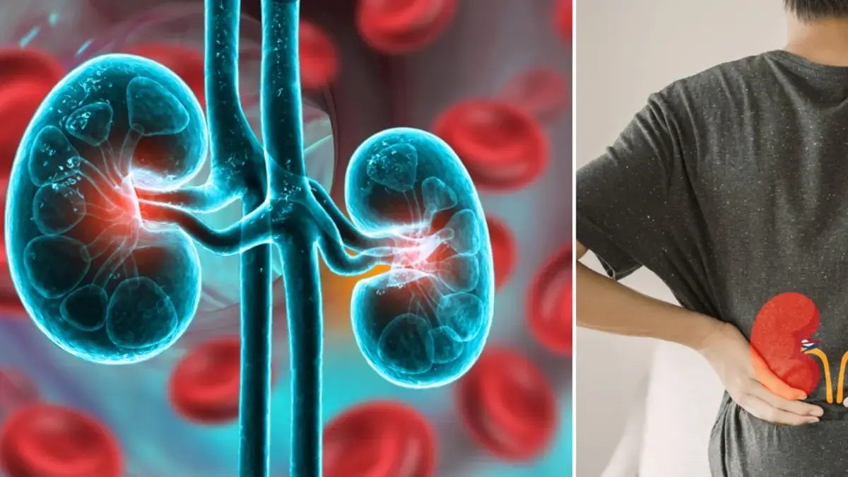 Cinque segnali che indicano che i reni potrebbero non funzionare correttamente: riconoscerli in anticipo può prevenire danni gravi