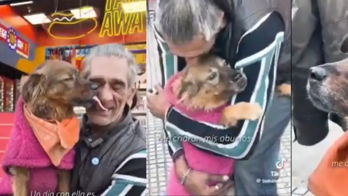 Ele largou as drogas, superou o vício e começou seu próprio negócio graças a Akira, seu animal de estimação: "Ele me deu uma oportunidade, ele abriu minha mente."