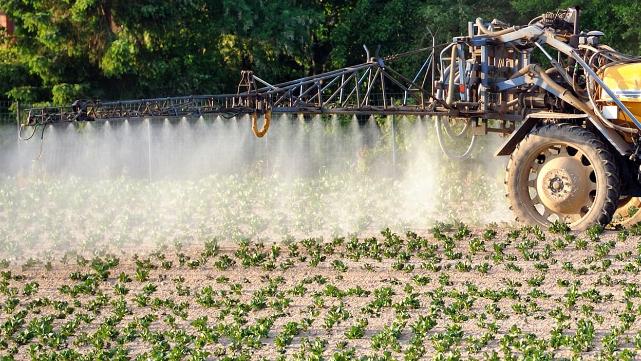 Exposición a pesticidas: lanzan una plataforma para informar sobre los riesgos y desafiar al gobierno